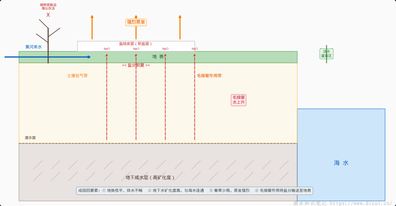 土壤盐渍化原理图